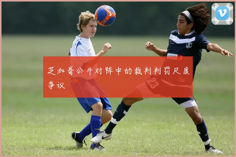 芝加哥公牛对阵中的裁判判罚尺度争议