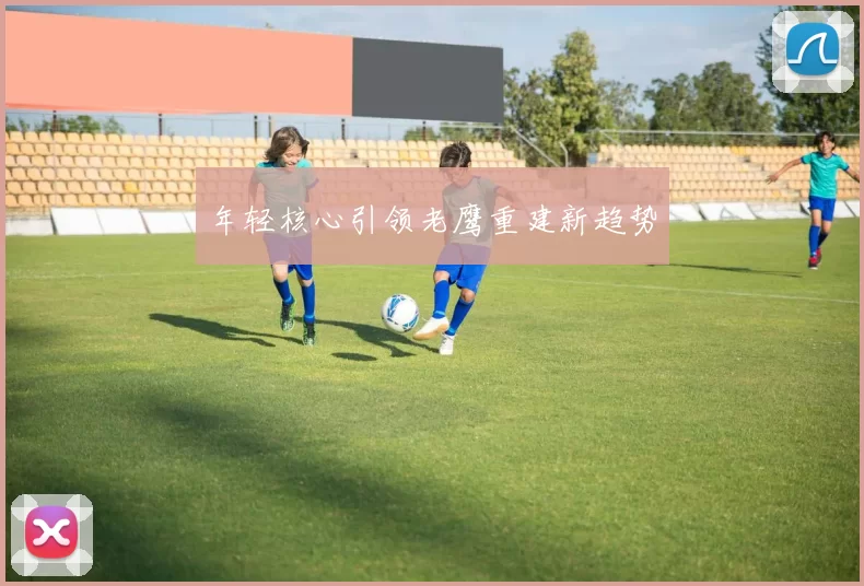 年轻核心引领老鹰重建新趋势